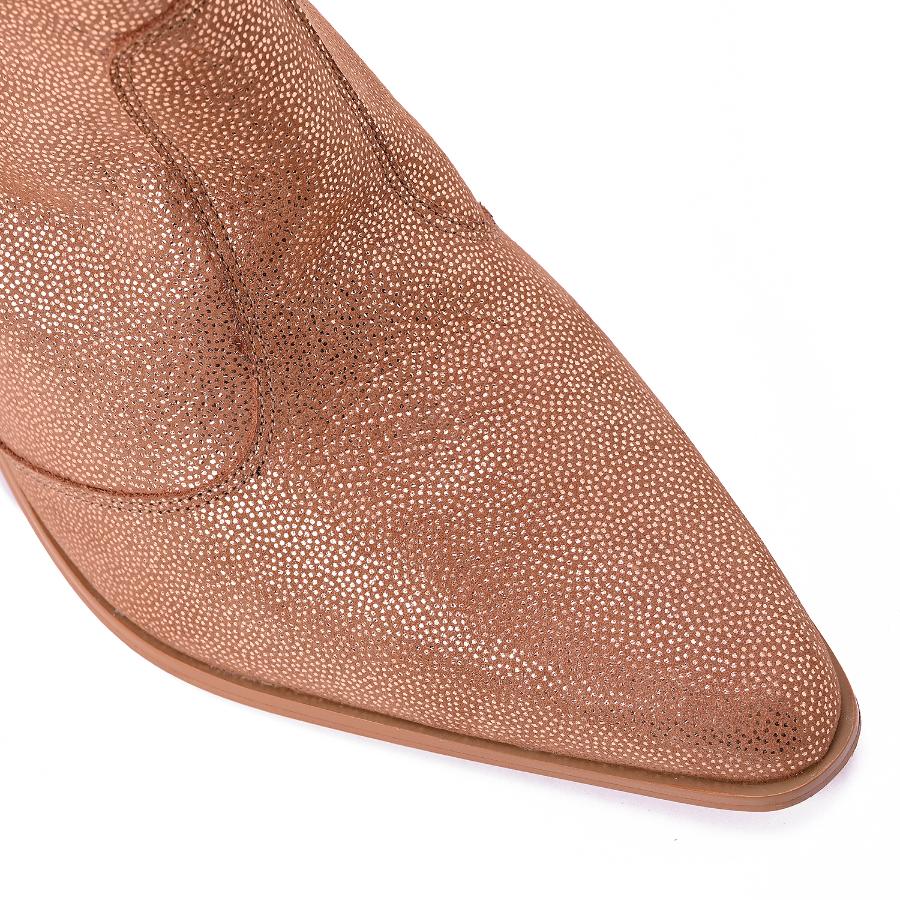 BOTA