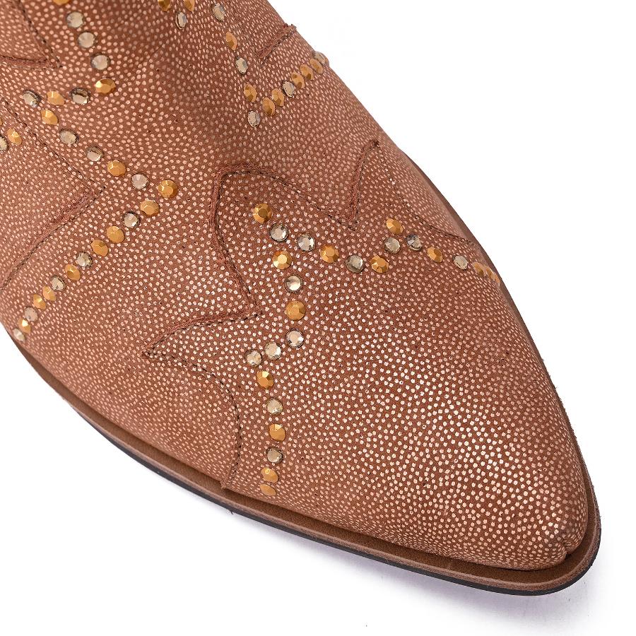 BOTA
