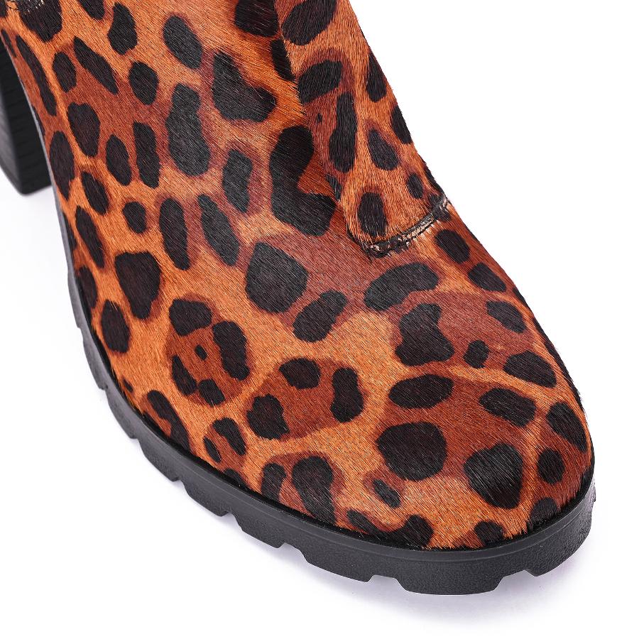 BOTA