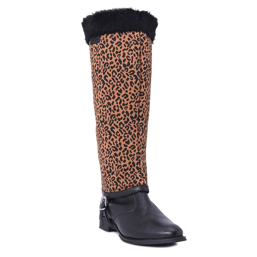 BOTA