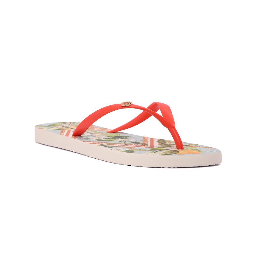 OJOTA CARMEN STEFFENS VERANO 2023