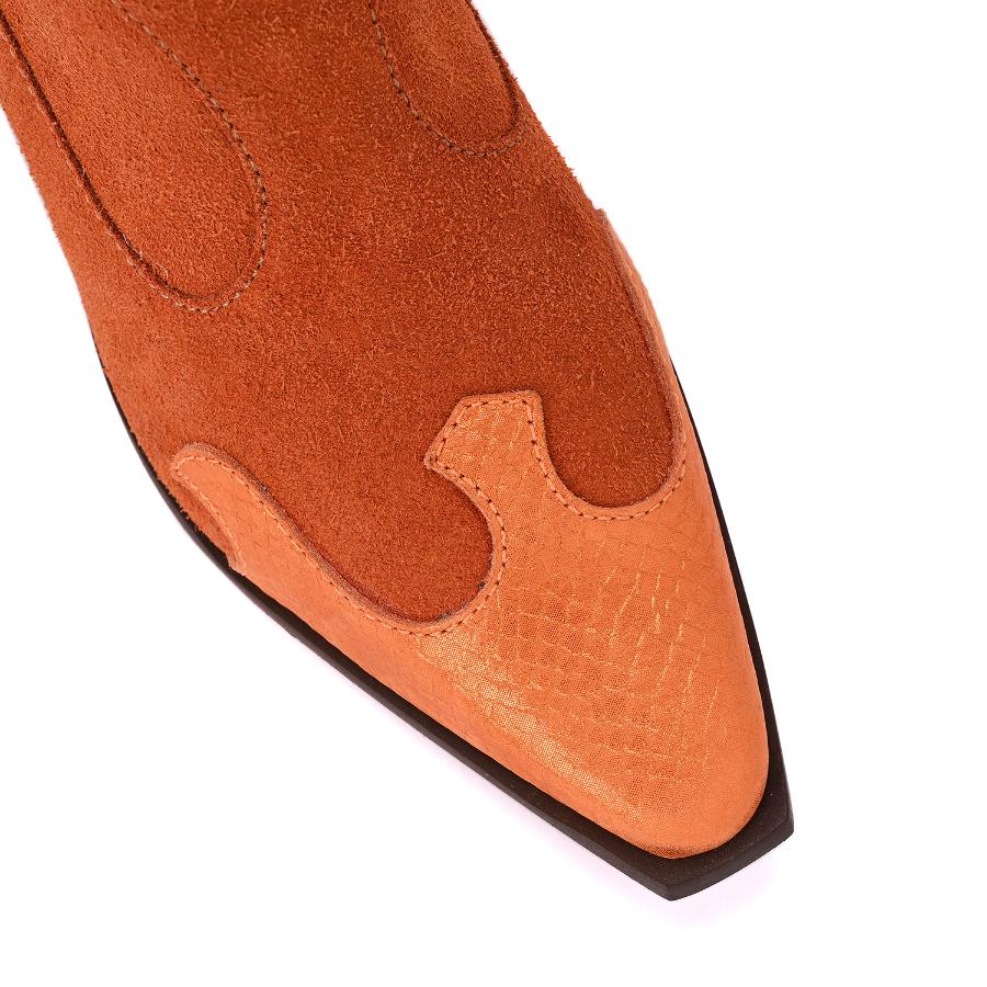 BOTA