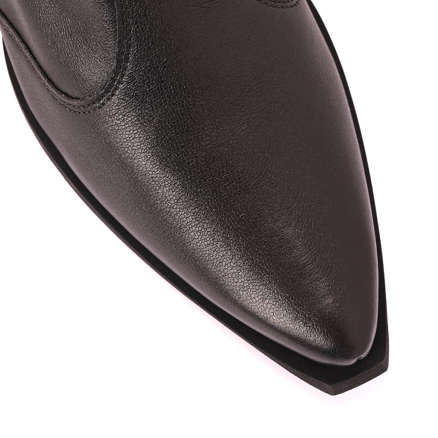 BOTA