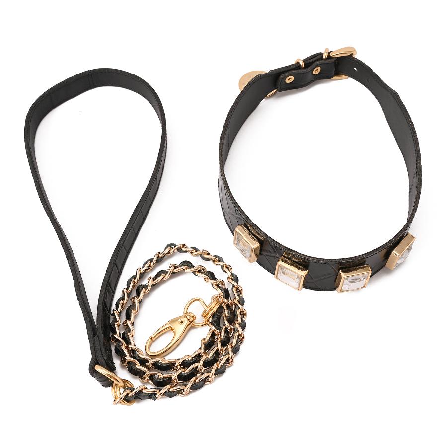 COLLAR PET