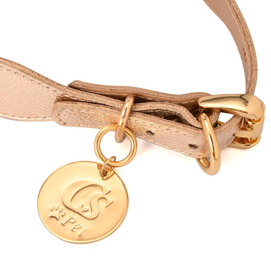 COLLAR PET