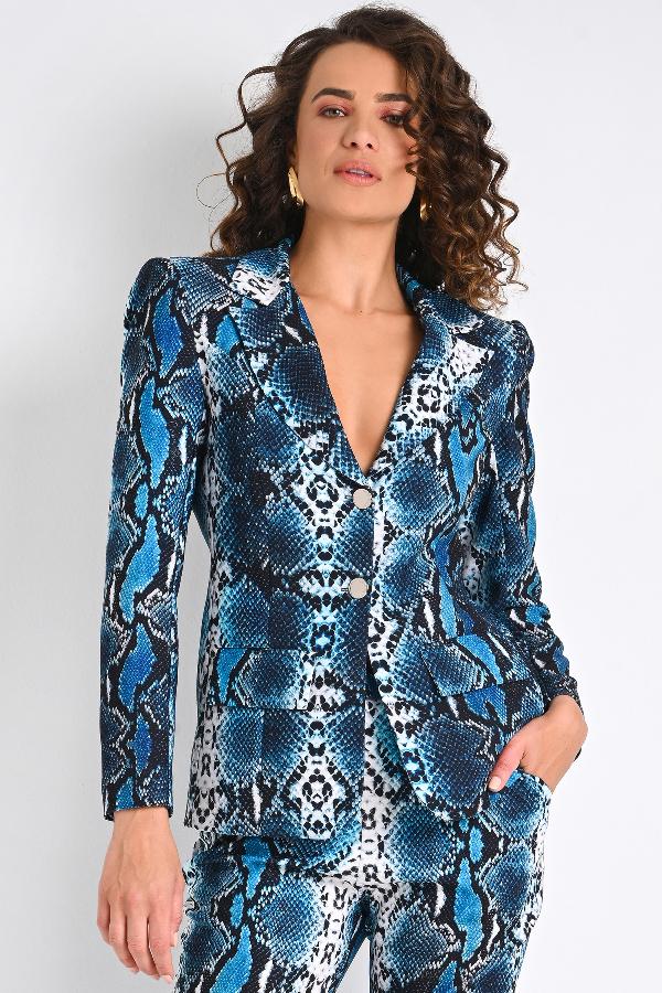 BLAZER