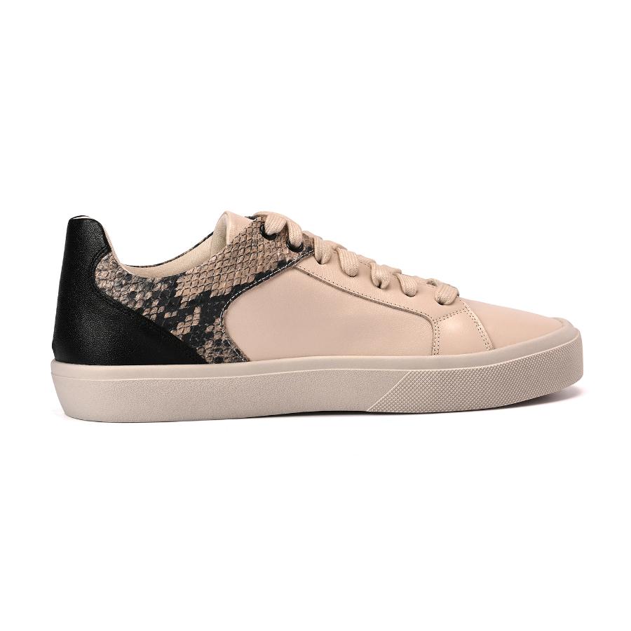 TENIS CS CLUB
