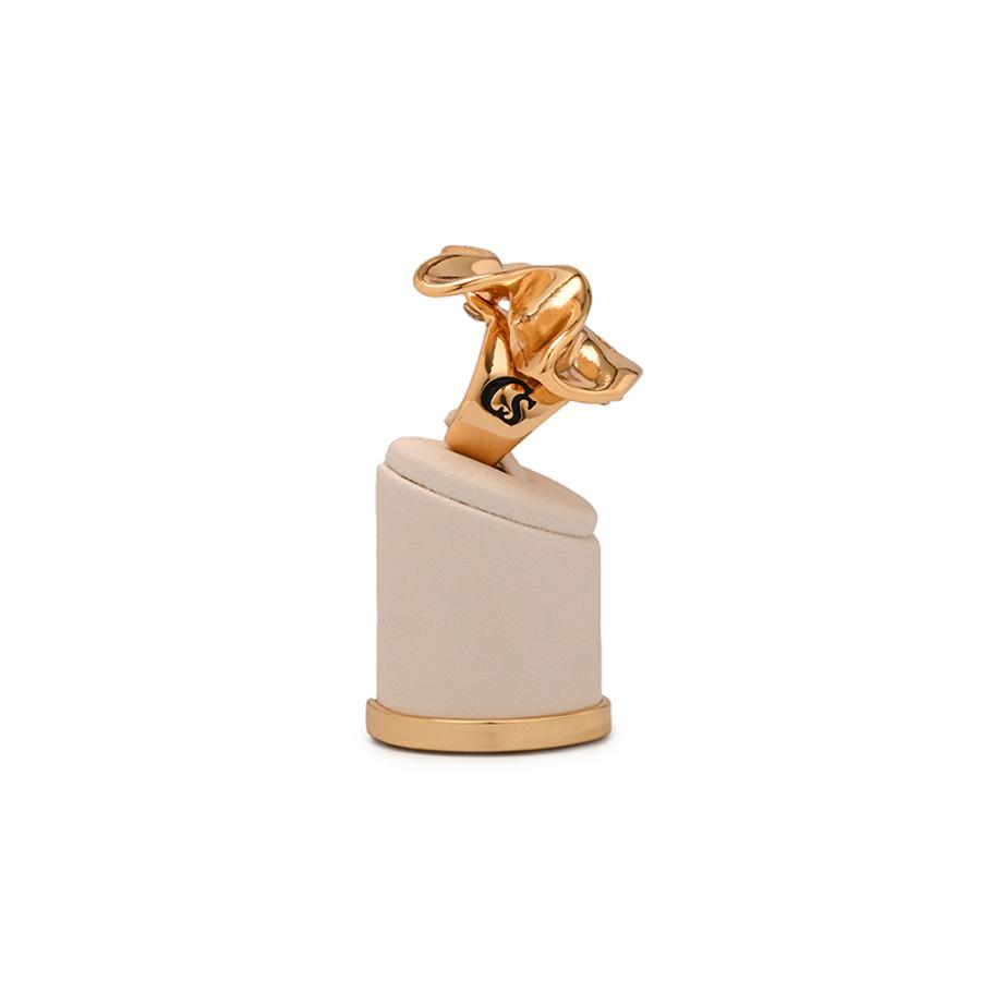 ANILLO