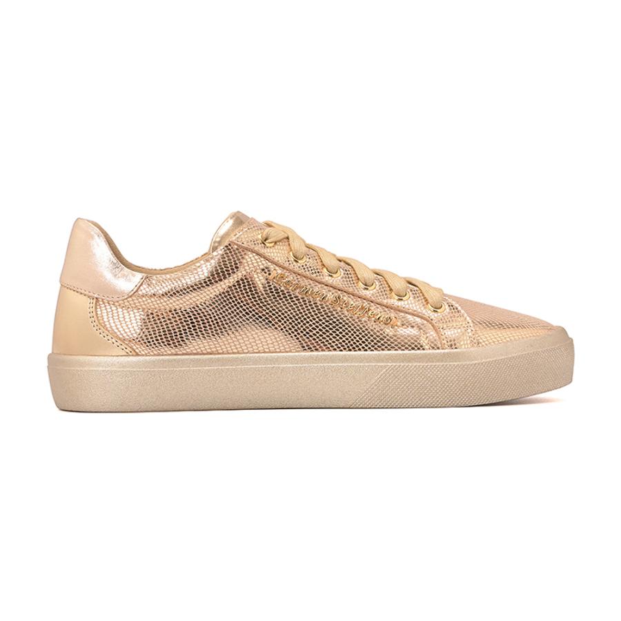 TENIS