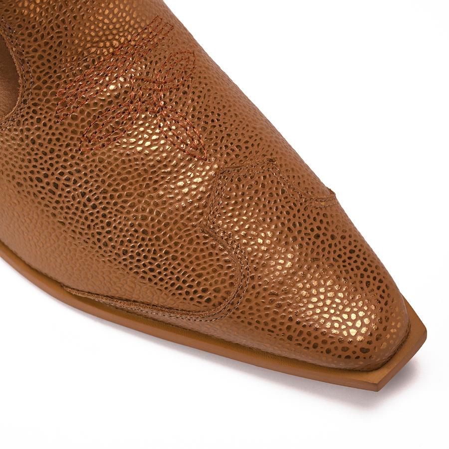 BOTA